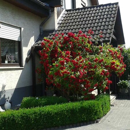 Ferienwohnung Raupe Fritzlar Buitenkant foto