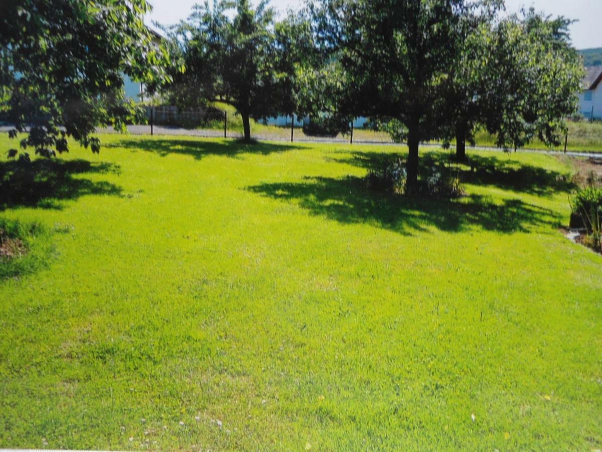 Ferienwohnung Raupe Fritzlar Buitenkant foto